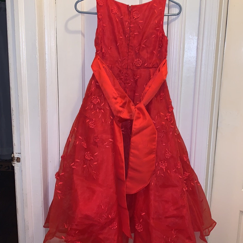 Red Dress - Picture 5 of 6